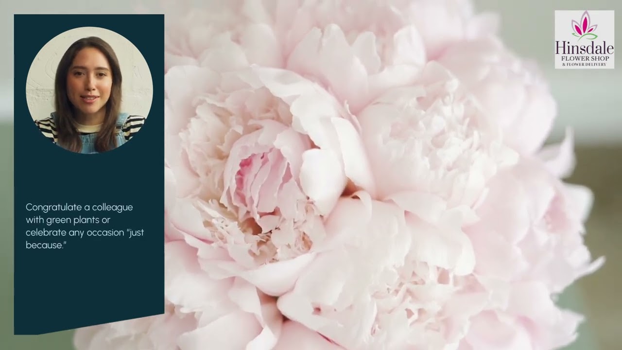 Floral Arrangements & Same-Day Delivery in Countryside IL | Hinsdale Flower Shop & Flower Delivery