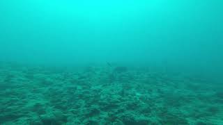 GOPR0425