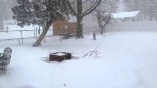 Granite City, IL snow