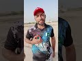 #automobile #cricketlover #unfrez #cricket #hospitaldoctor #unfrezzmyaccount #lovesong #duet 🏏❤️
