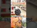 【ワンピース】P.O.P10周年記念！エースは、まだ生きている!? #お宝創庫 #豆知識 #onepiece