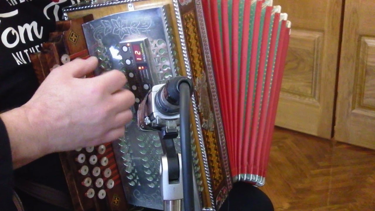 Ich bleib allein - Avsenik