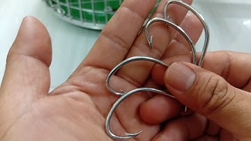 0913.260.614 zalo bán lưỡi câu nhấp cá lóc, cá chuối, mẫu móng heo, mẫu nai, mẫu mài ốc mẫu thái