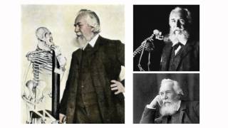 Rebutting Brad Harrub:  Haeckel's Embryo Fraud