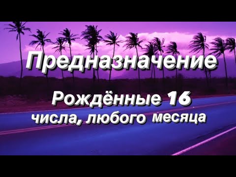 Предназначение. Реализация. Рожденные 16 числа