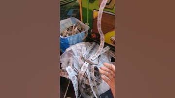 The Arcade Master And Ticket-Holding Legend Lives On! Montage From Just Two Weeks Alone! July 2023