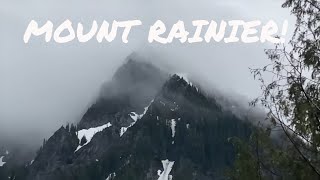 Mount Rainier - Nisqually To Paradise