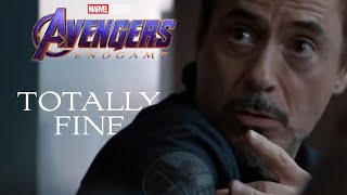 Avengers Endgame  Totally Fine