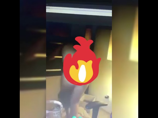 ELITHECAT OŽRALÁ NAHÁ NA STREAMU !! ELITHECAT OŽRALÁ NAHÁ NA STREAMU !! #1