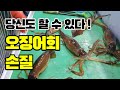 [오징어회뜨기] 여름 오징어회 손질, 제 영상을 보고 따라해 보세요! How to cut squid fish. [수아아빠TV]