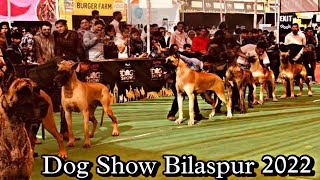 Bilaspur Dog show 2022 || Best Dog show in Chhattisgarh || डॉग शो देखने लाखो लोग आए 😮||