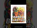LA BANDA ELÁSTICA