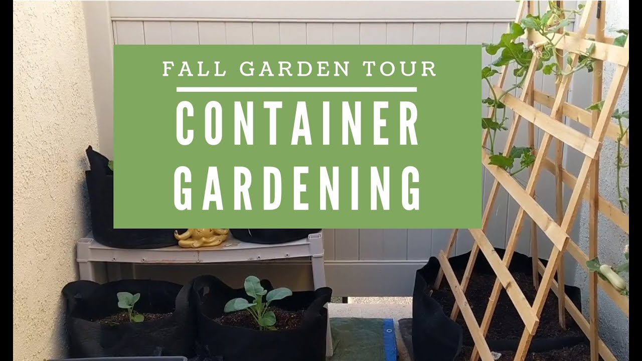 Fall Garden Tour | Container Gardening - YouTube