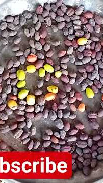 #Dired Coffee Beans#Endemic to Srilanka#