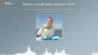 #096- Christine Figgener- Marine Biologist Talks Sea Turtles, Saving Our Oceans, and Going... screenshot 1