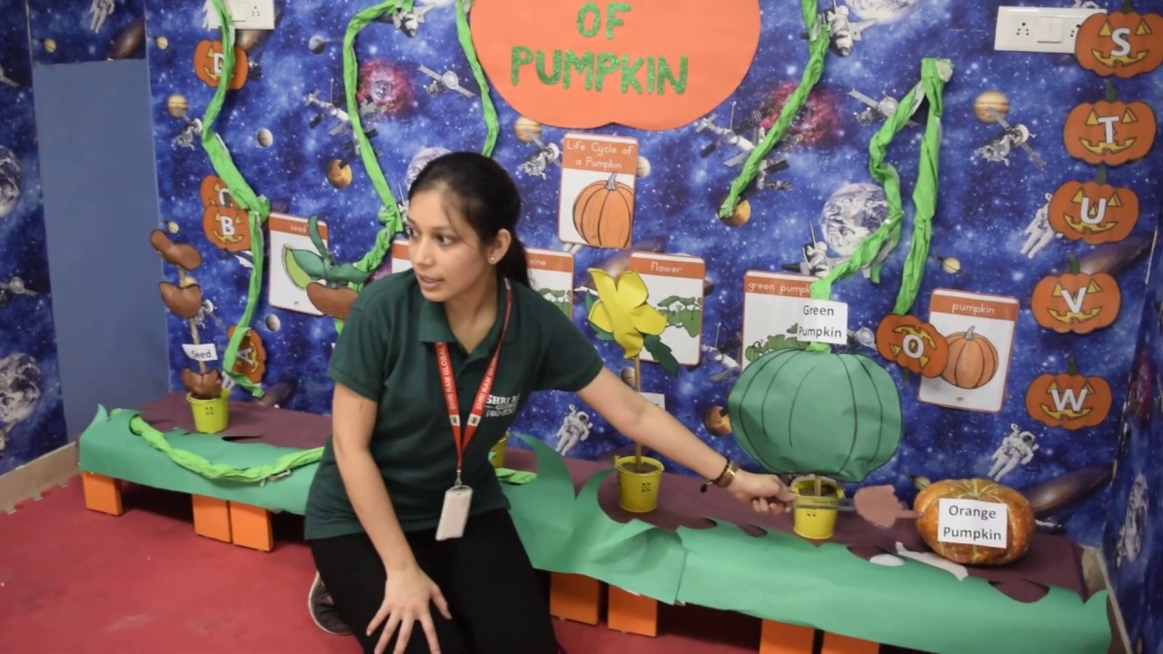 Stages Of Pumpkin - YouTube