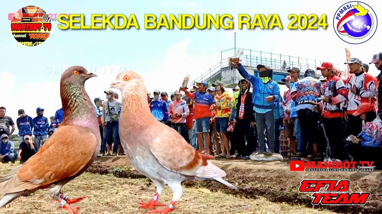 Grand Final Junior Merpati balap Selekda Bandung 2024