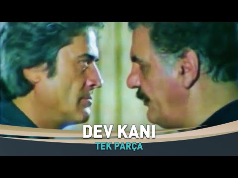 Dev Kanı | Cüneyt Arkın Eski Türk Filmi