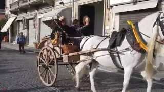 Sfilata carri con cavalli del mondo contadino - video 2