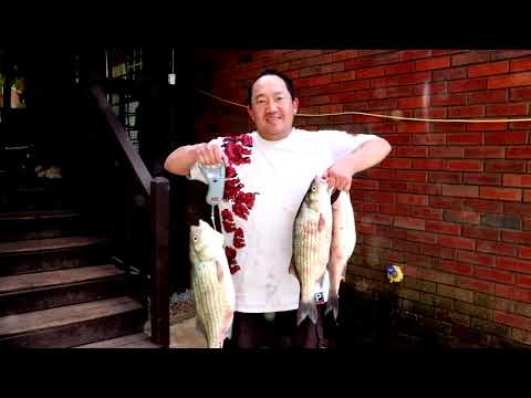 Video: Top 10 Bass Fishing Lakes hauv Georgia