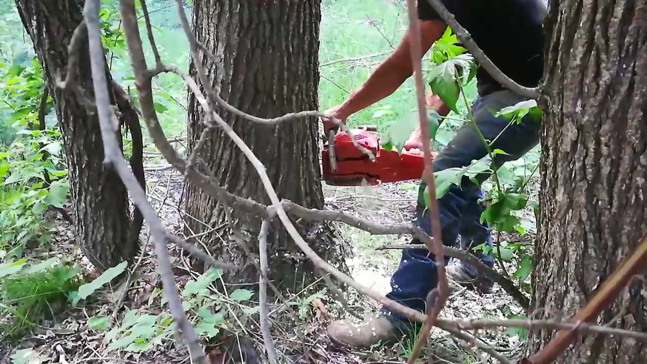 Jon Cutter 5800 getting broken in by Ryan my brother inlaw YouTube