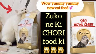 Leo & Zuko hue EXCITED kun ki aya new Cat Food || ROYAL CANIN cat food by leoko vlog 126 views 4 months ago 4 minutes, 36 seconds