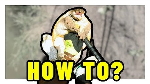 How to safely unhook a Snapping Turtle!