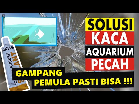 CARA MENAMBAL AQUARIUM RETAK ATAU PECAH. 