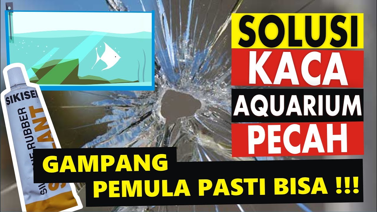 Cara Menggunakan Lem Kaca Pada Aquarium Retak Pecah Bagi 