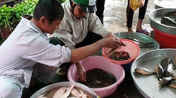 Bác 2 Và Chú Út Đi Chợ Mua Cá Trạch Bùn Về Khô Nghệ Cho Bữa Cơm Chiều Miền Quê.Góc Làng Quê#24