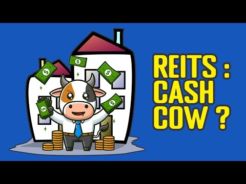 Real Estate Investment