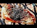 Fire Agate Hunting in the Arizona Desert | Part 2