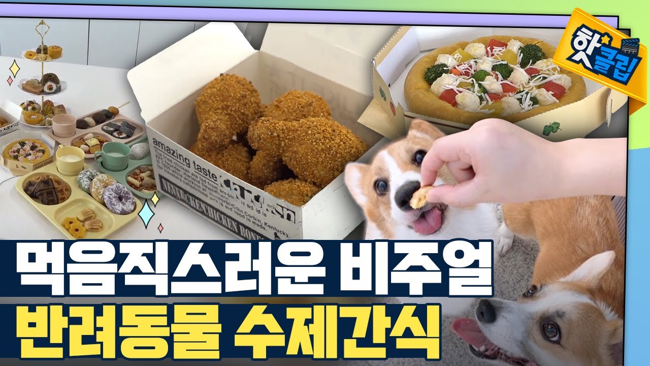 [핫클립] 맛과 건강을 담은 반려동물 간식 / YTN 사이언스