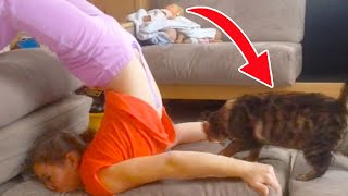 SHE LANDED ON THE CAT! | FUNNY VINES by Funny Vines 13,020 views 1 year ago 4 minutes, 34 seconds