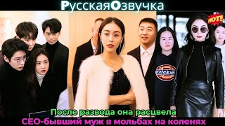 картинка: После развода она расцвела, CEO-бывший муж в мольбах на коленях