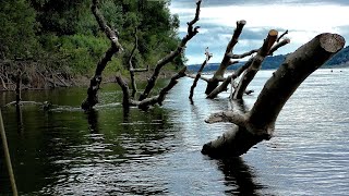 УДАРЫ  МОЛОТКОМ КРУПНЯКА В КОРЯЖНИКЕ!! Рыбалка на Оби.Щука ,судак,джиг. снято 26 августа