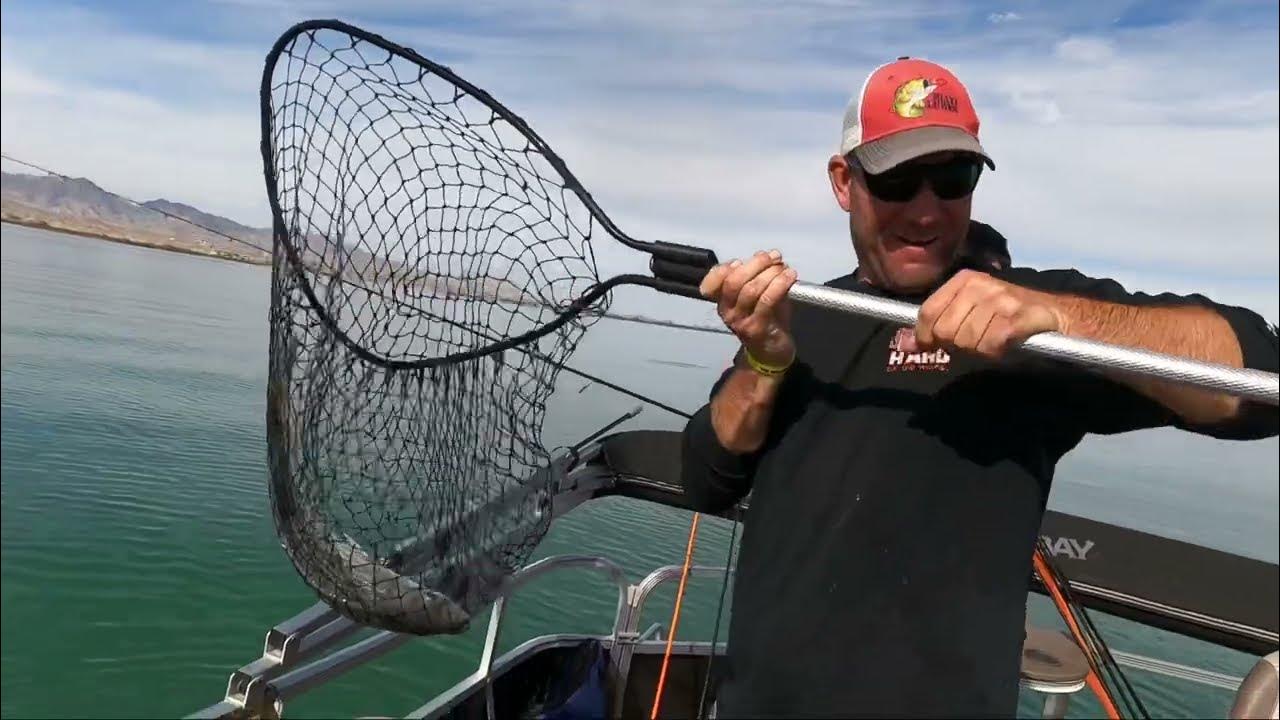 Fishing with Lake Havasu Fishing Guide NICK YOUNG OUTDOORS! YouTube