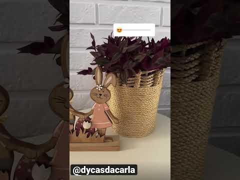 Vídeo: Plantas que podem ser tecidas: aprenda a tecer cestas com plantas