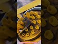 Innovative Rotary Pasta Extrusion Machine : Best Hollow Pasta Forming