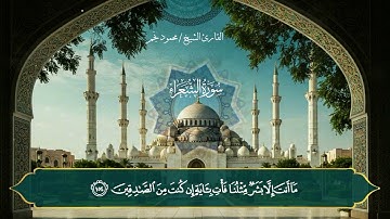 ما تيسر من سورة الشعراء بصوت القارئ الشيخ/ محمود نجم
