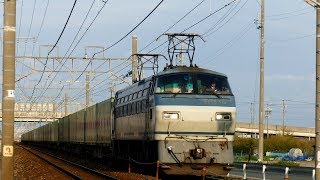 2019/04/14 JR貨物 新田踏切から早朝6時台の貨物列車3本 1055レ空コキ多数