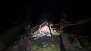 Yar Gelsin Yarim Gelsin