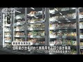 “自宅で食事”増えて…小売店で冷凍食品売り場拡大(2022年8月1日)