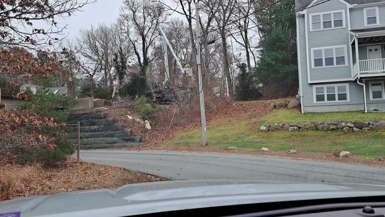 Tree and brush clearing along the Mass Coastal Railroad Falmouth Line.