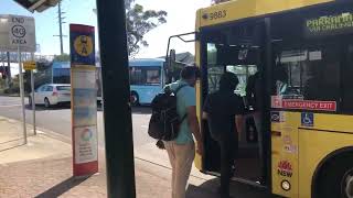 Hills Buses:bus spotting at Pennant Hills vlog#7 screenshot 5