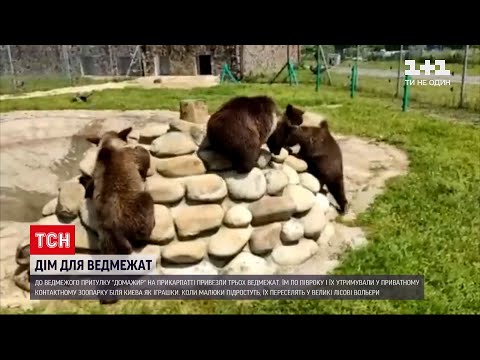 Новини України: у