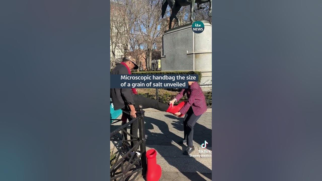 Handbag, Smaller Than A Grain Of Salt, Goes Viral