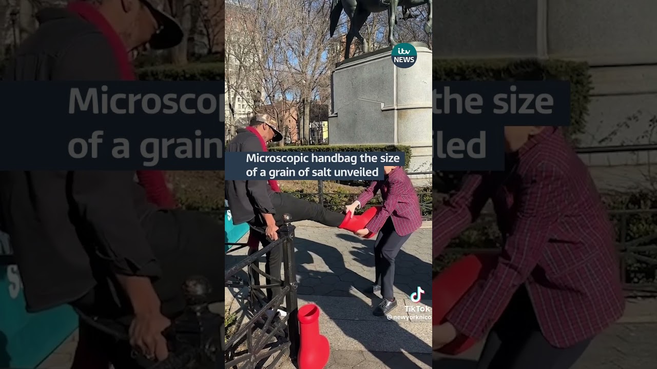 Microscopic handbag the size of a grain of salt unveiled 