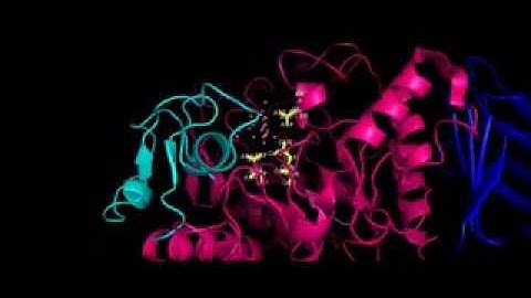 PYMOL MOVIE ALPHA AMYLASE DOMAINS