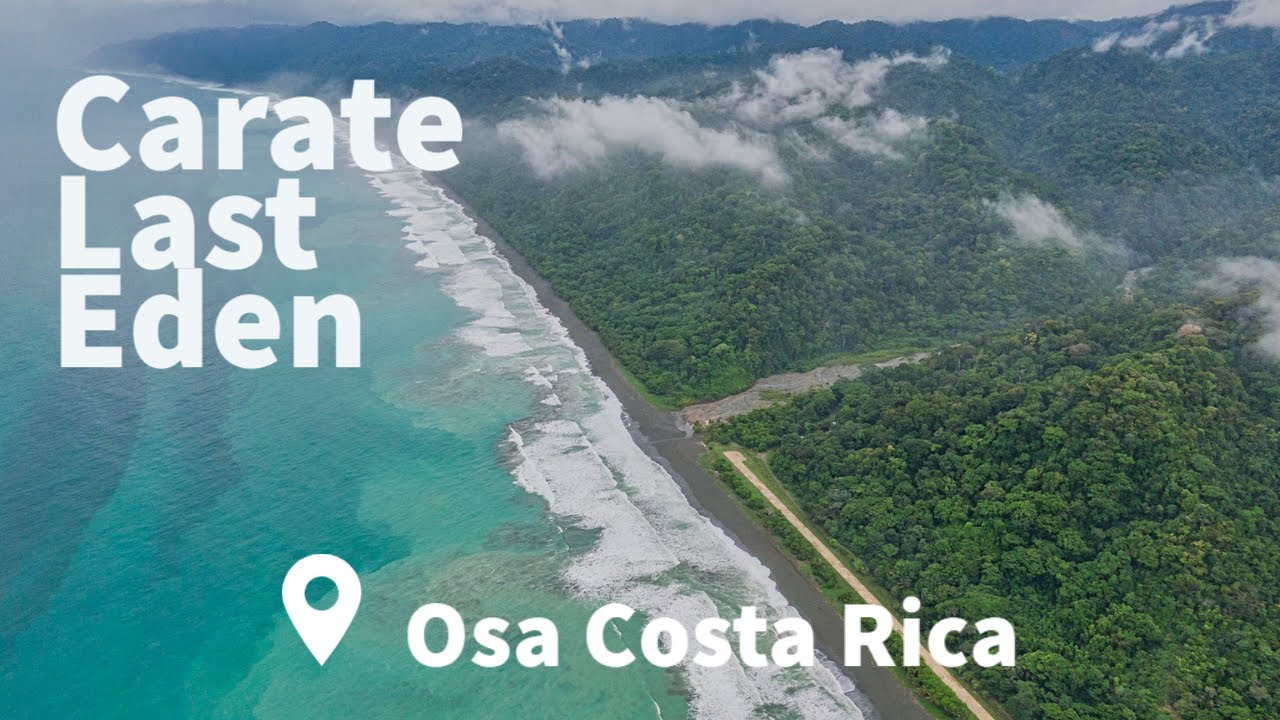 Carate Last Eden | Rainforest Property for Sale In Osa Costa Rica 🌳 | Land Conservation Investing